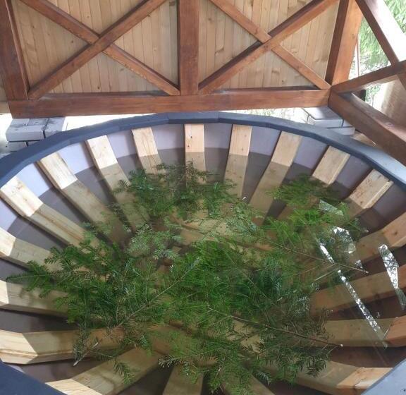 اتاق سوپریور چهار تخته, Novoe Shale