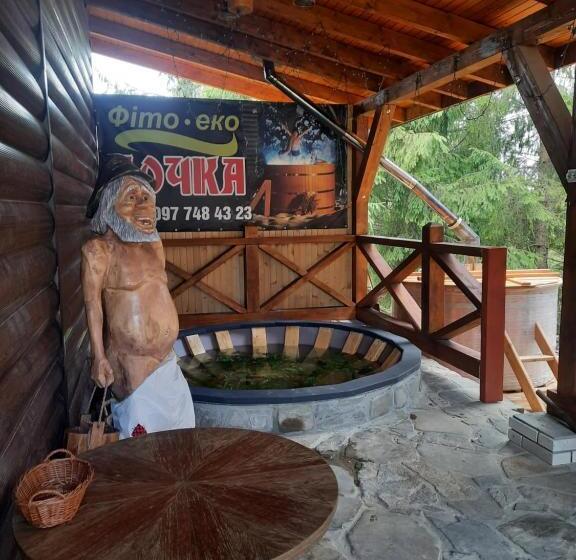 اتاق سوپریور چهار تخته, Novoe Shale