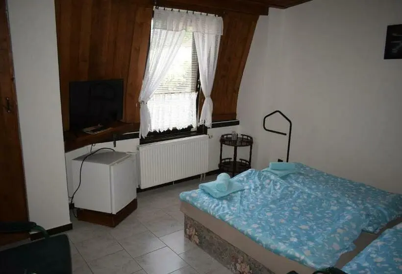 Standard-huone, Penzion Rony