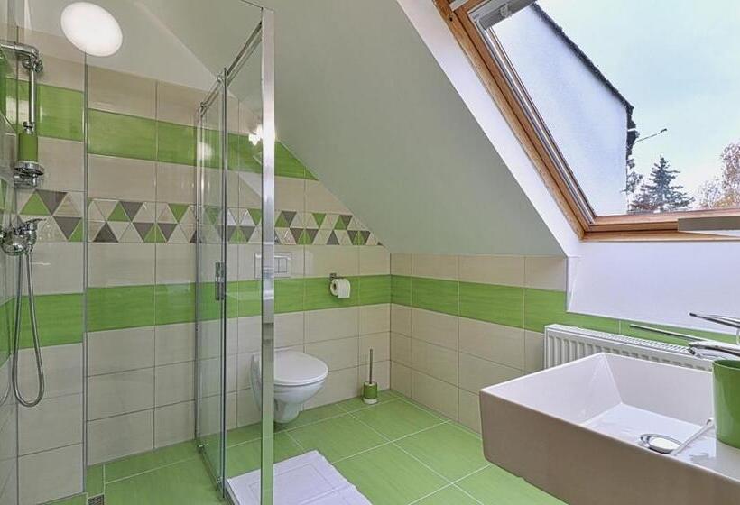 Номер Superior Одноместный, Restaurant Penzion City