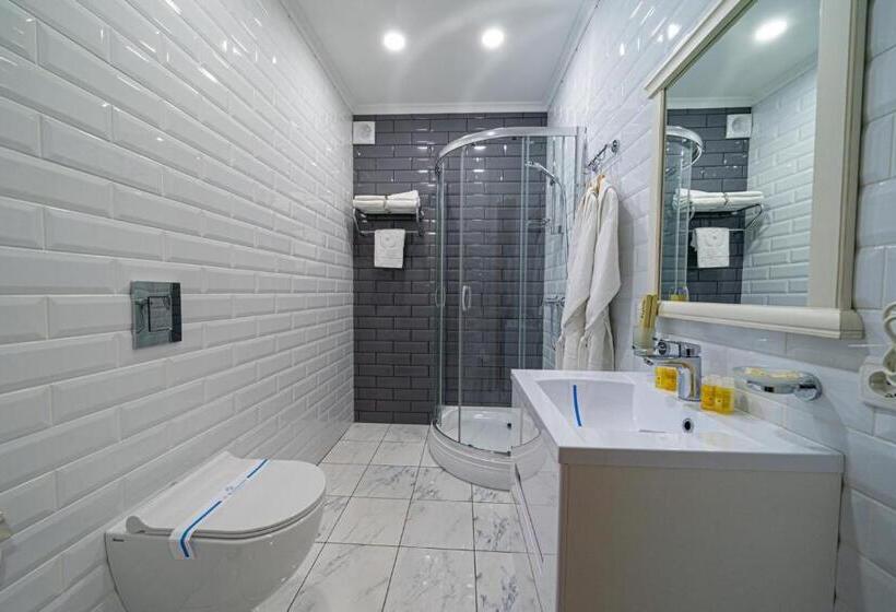 اتاق استاندارد, бутик отель Zeytun