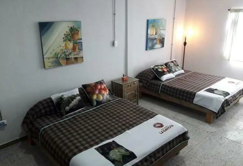 ２ダブルベッドのスタンダードルーム, Hacienda Cafetera La Gaviota