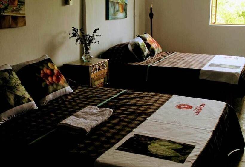 스탠다드 룸 더블 침대 2개, Hacienda Cafetera La Gaviota