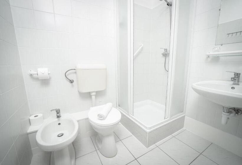Номер Стандарт Трехместный, Regia Panzió