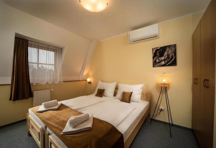 스탠다드 룸, Regia Panzió