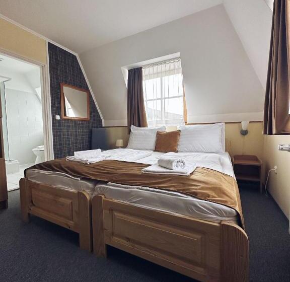 스탠다드 룸, Regia Panzió