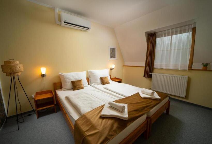 스탠다드 룸, Regia Panzió