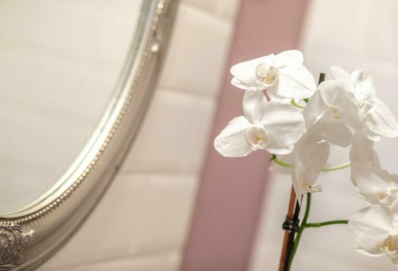 غرفة قياسية, Tarnóca Kúria