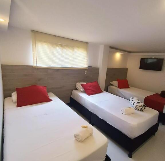 Номер Стандарт, Orion