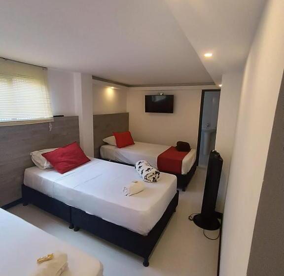 Номер Стандарт, Orion