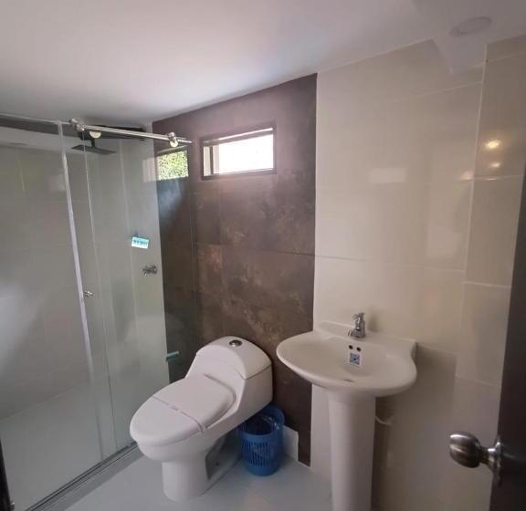 Номер Стандарт, Orion