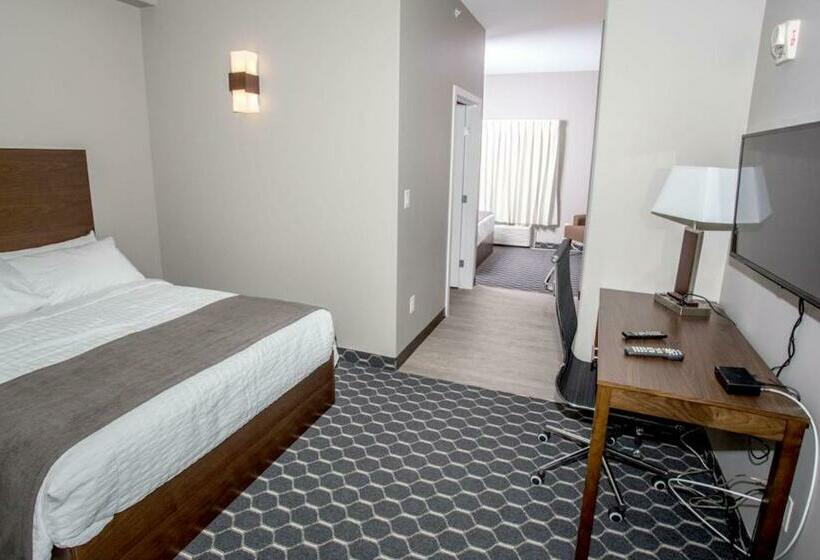 デラックスルーム, The Souris