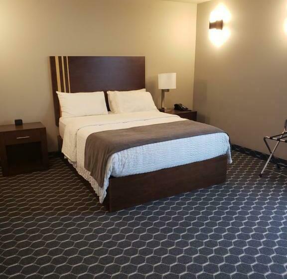 身障者適用シングルルーム, The Souris