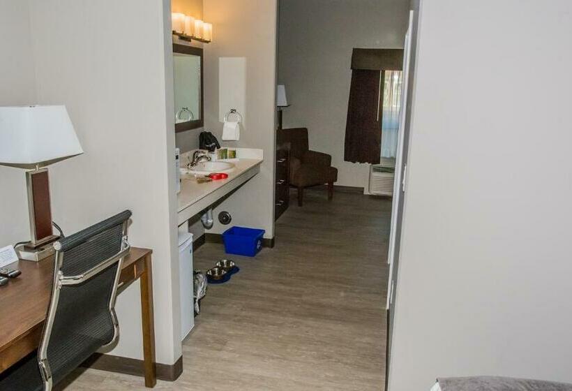 スタンダードルーム, The Souris