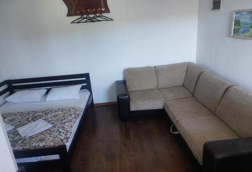 اتاق استاندارد, готель гостьовий дім In Stryj