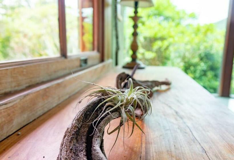 غرفة قياسية, Altamira Eco Retreat