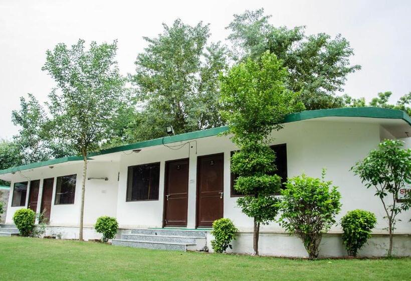 스탠다드 룸 풀장 전망, The Timber Garden Adventure Club