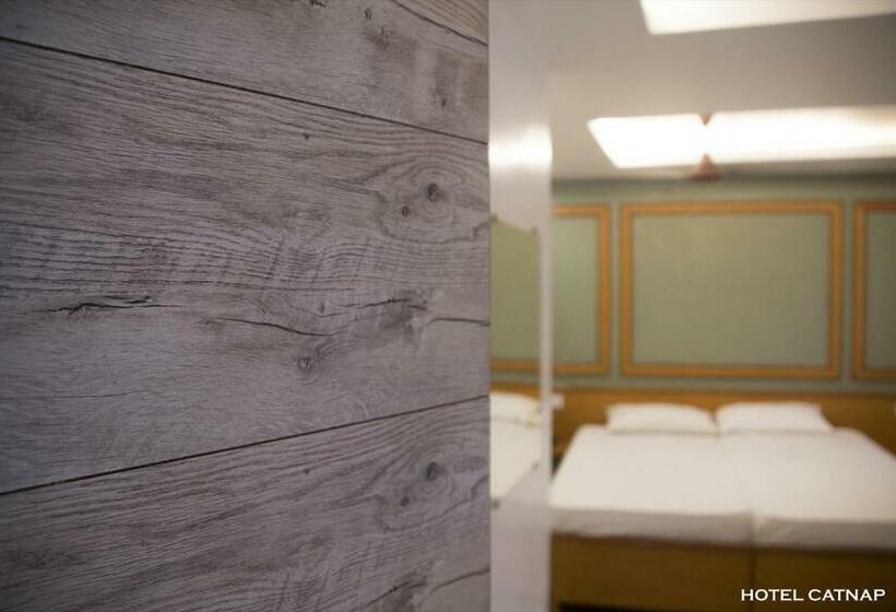 キングサイズベッドのスーペリアルーム, Catnap