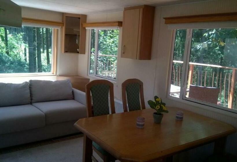 בית, חדר שינה 1, Funny Farm