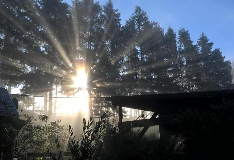 בית, חדר שינה 1, Funny Farm