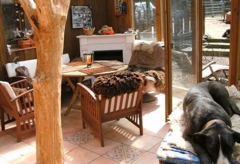 בית, חדר שינה 1, Funny Farm