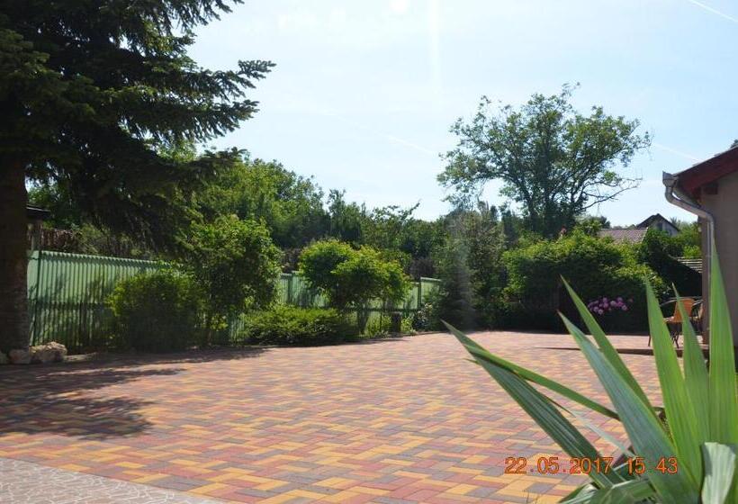 خانه 1 خوابه, Guesthouse