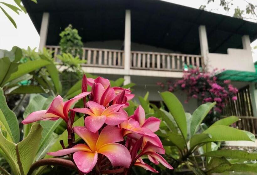 اتاق خانوادگی, Quinta El Mamey