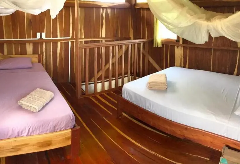 スタンダードバンガロー, Quinta El Mamey