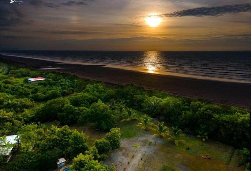 اتاق خانوادگی, Quinta El Mamey