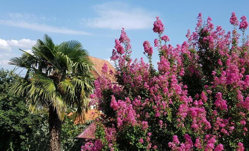 اتاق استاندارد, Rooms Rafomarija