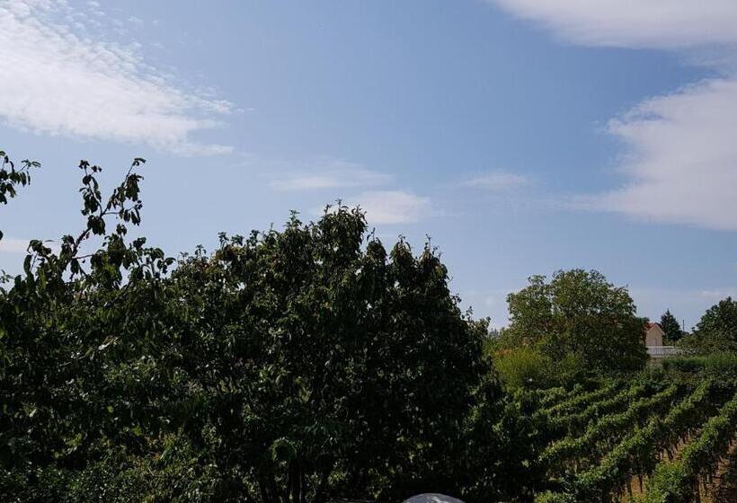 اتاق استاندارد چهارنفره با سرویس بهداشتی مشترک, Rooms Rafomarija