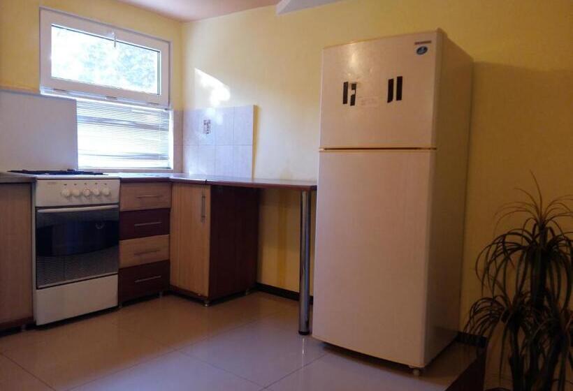 إستوديو قياسى, Uzh Apartments