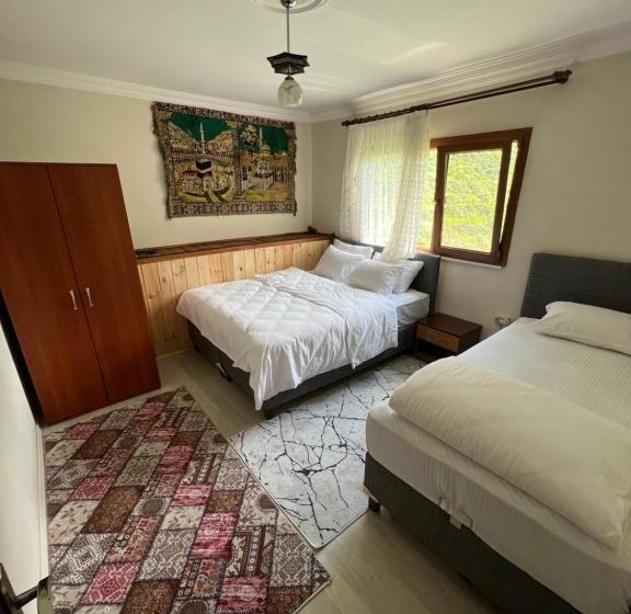 آپارتمان 1 خوابه با چشمانداز, Yeşil Doğa Tatil Apart