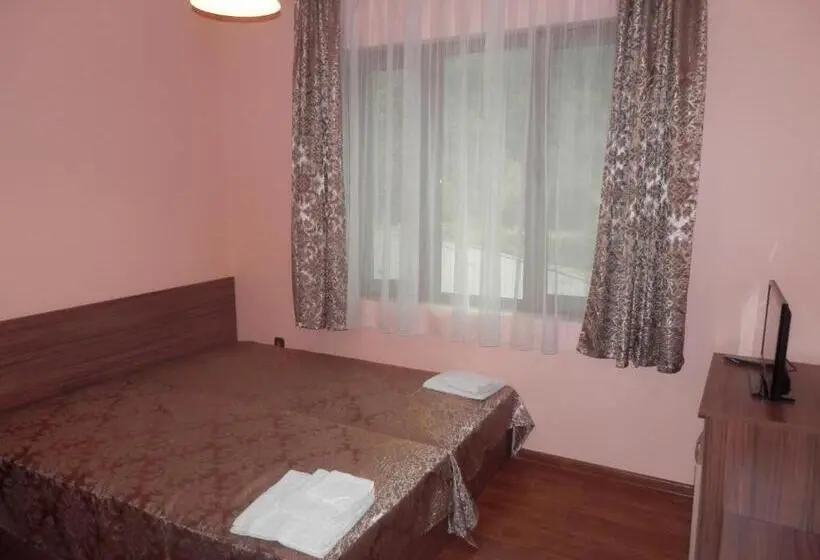 スタンダードルーム, Family Hotel Borovitsa