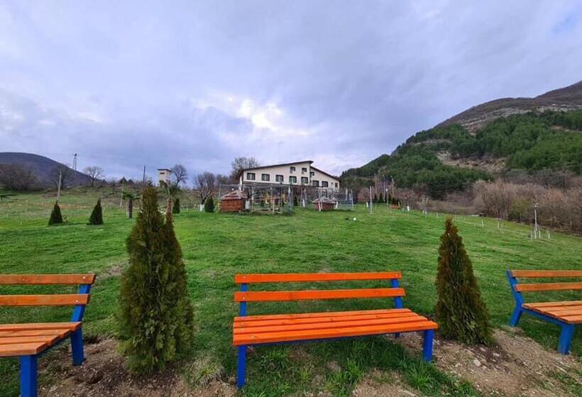 חדר סטנדרט, Family Hotel Borovitsa