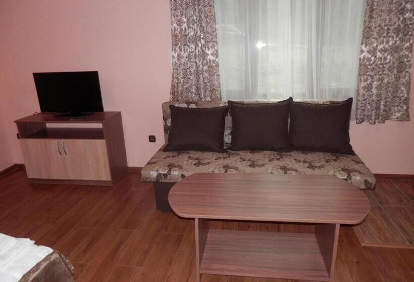 חדר סטנדרט לשלושה, Family Hotel Borovitsa