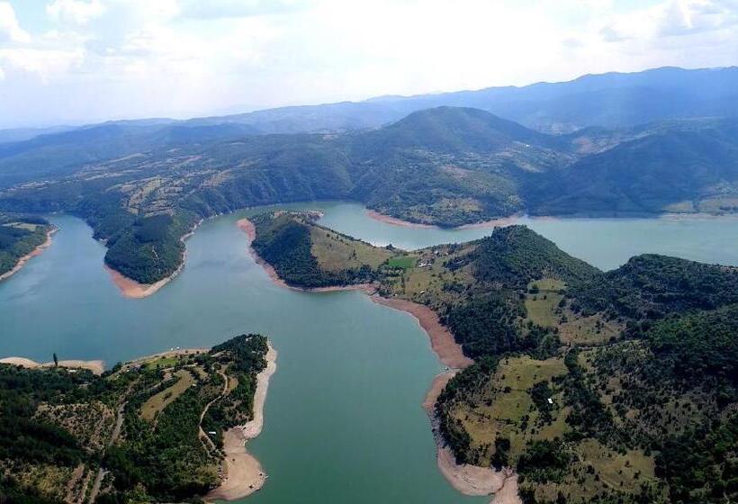 חדר סטנדרט, Family Hotel Borovitsa