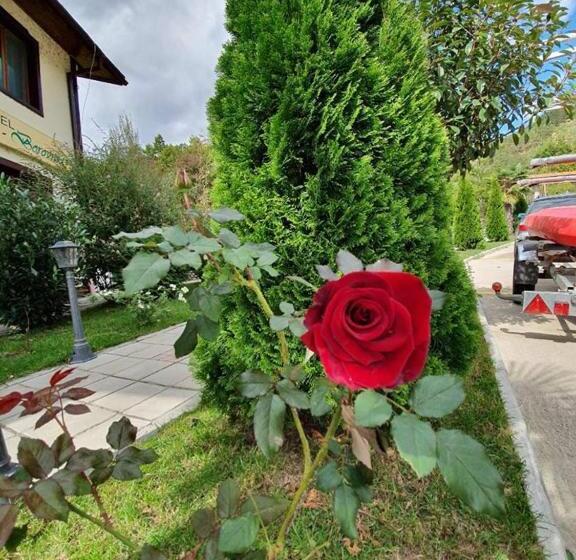 חדר סטנדרט לשלושה, Family Hotel Borovitsa