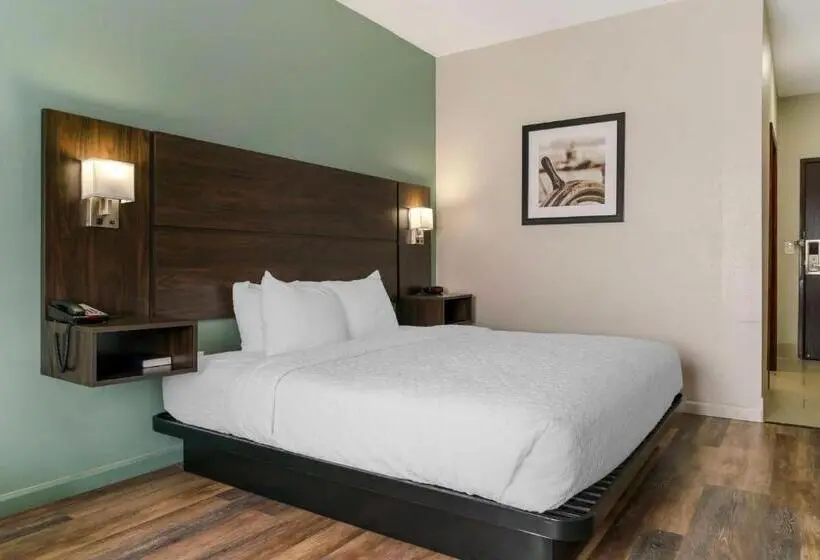 身障者適用キングサイズベッドルーム, Best Western Clare