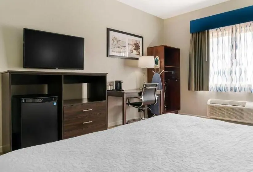 身障者適用キングサイズベッドルーム, Best Western Clare