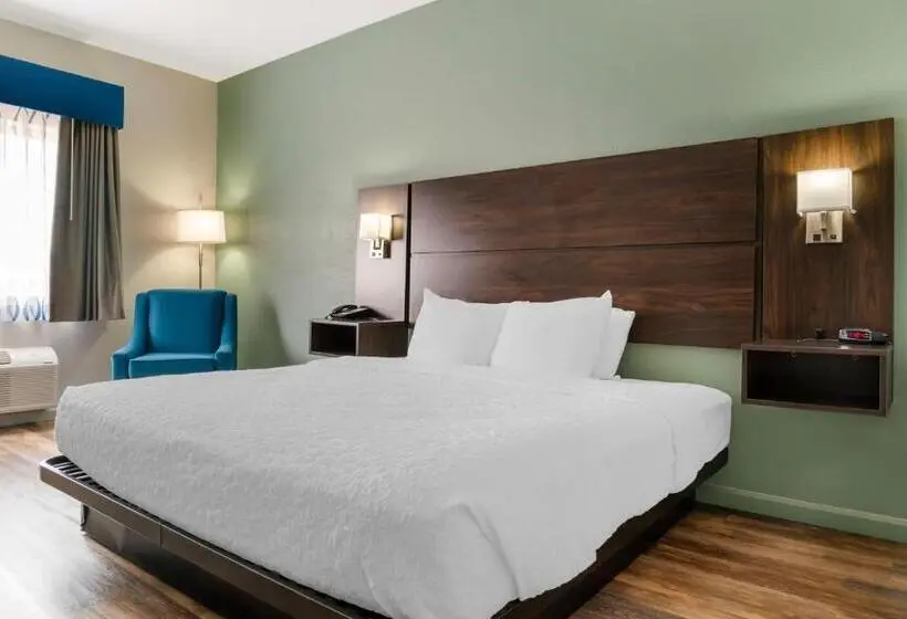 身障者適用キングサイズベッドルーム, Best Western Clare