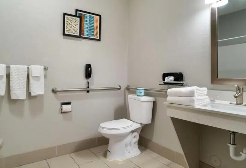 身障者適用キングサイズベッドルーム, Best Western Clare