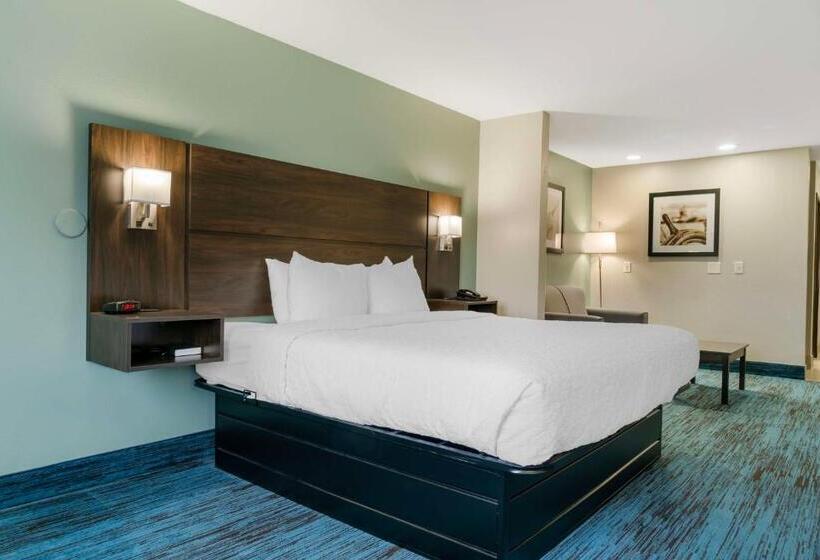 带大床的标准间, Best Western Clare