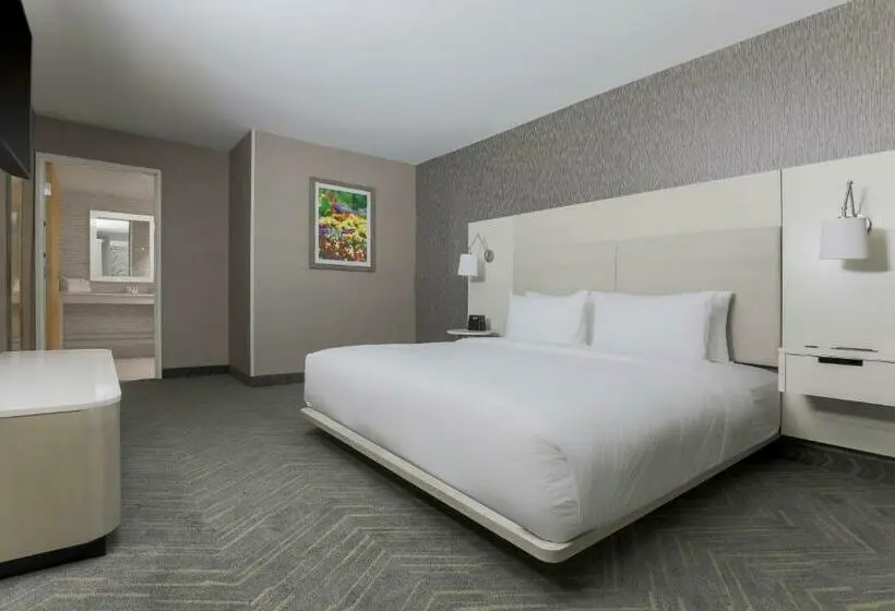 سوییت اجرایی, Fairfield By Marriott Inn & Suites Amarillo Central