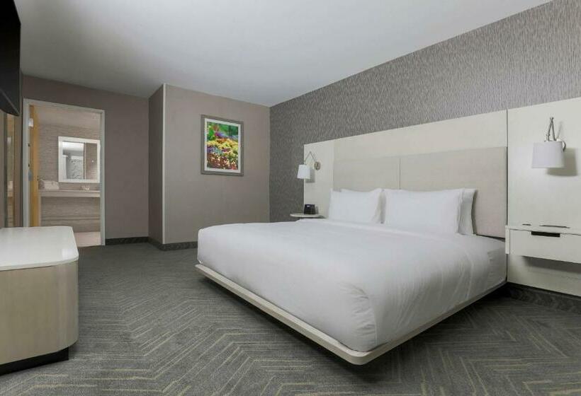 行政套房, Fairfield By Marriott Inn & Suites Amarillo Central