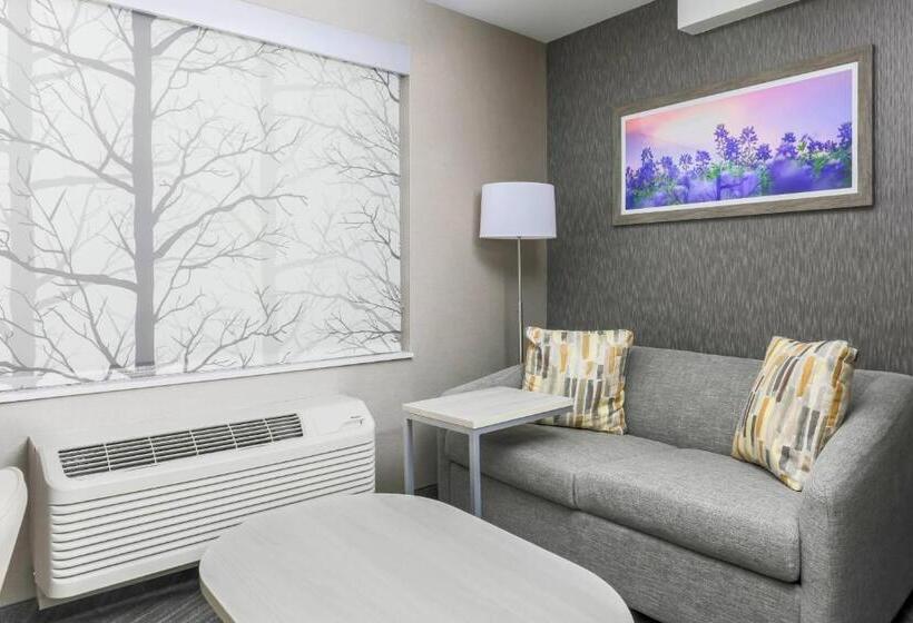 行政套房, Fairfield By Marriott Inn & Suites Amarillo Central