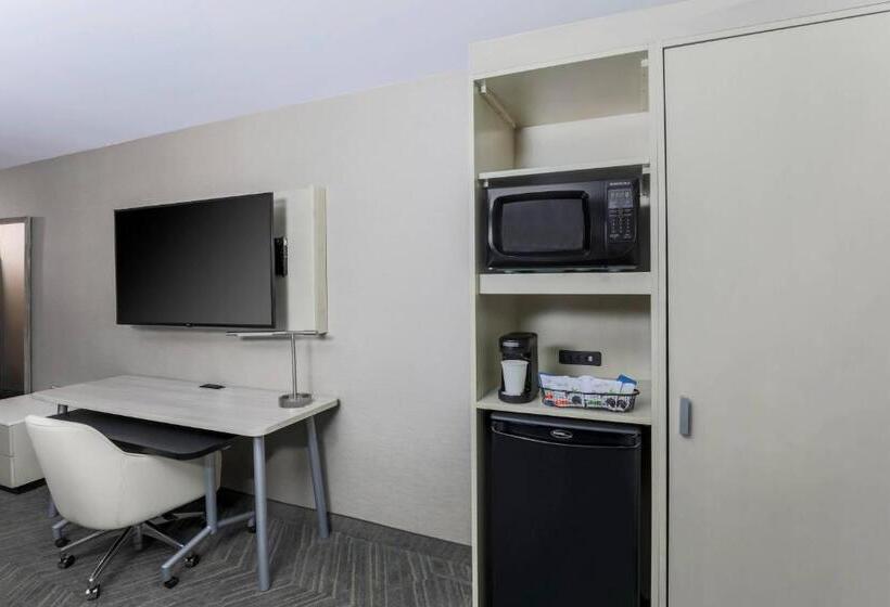 스탠다드 룸 킹사이즈 침대, Fairfield By Marriott Inn & Suites Amarillo Central