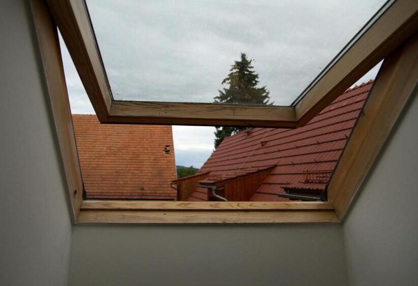 غرفة ديلوكس, Martinkovice 201 Broumov