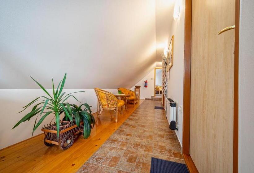 スタンダードルーム, Penzion U Kostela