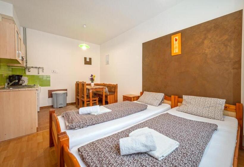 1ベッドルームアパートメント, Penzion U Kostela